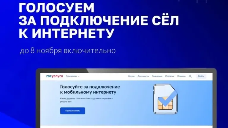 Новгородцы могут выбрать деревни для подключения интернета в 2027 году