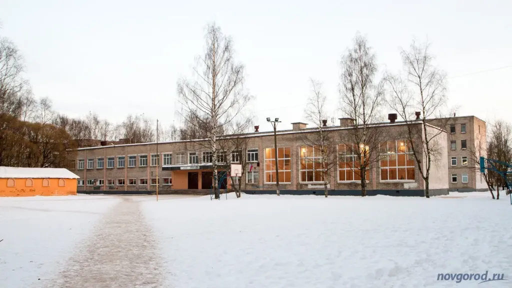 Директора новгородской школы-интерната № 9 уволили за утрату доверия